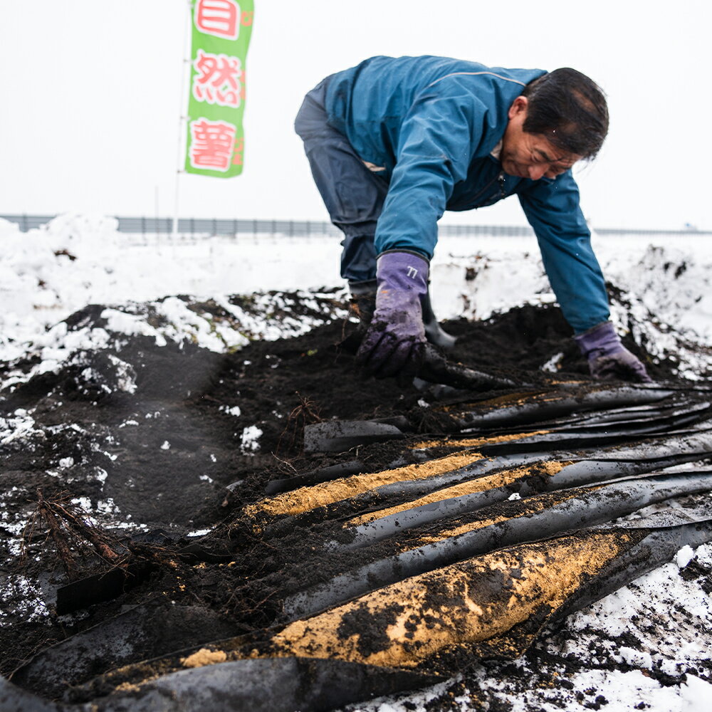 【ふるさと納税】山形県産 自然薯 雪国育ちの自然薯 約1kg 2本入り 送料無料 oz-zixxx1 - 画像3