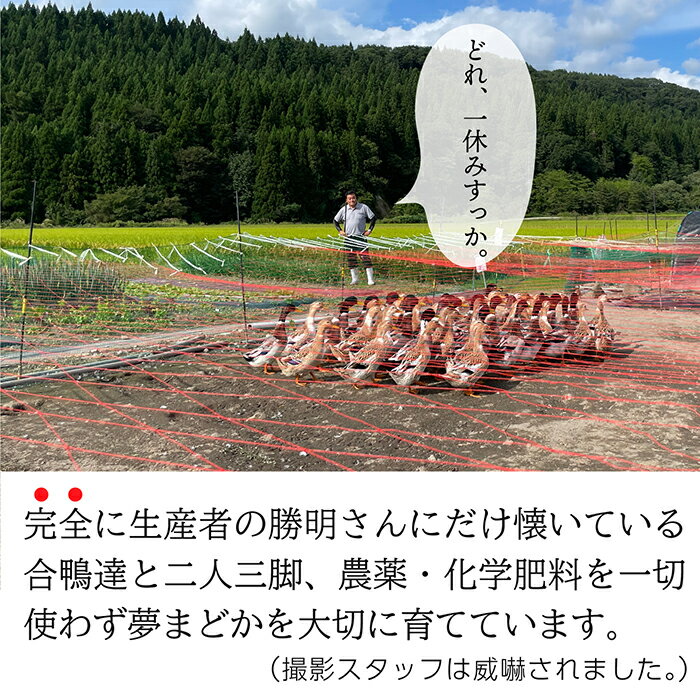 【ふるさと納税】【希少品種】【令和7年産】特別栽培米　夢まどか5kg - 画像3