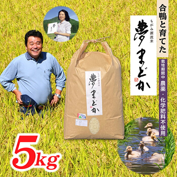 【希少品種】【令和7年産】特別栽培米　夢まどか5kg