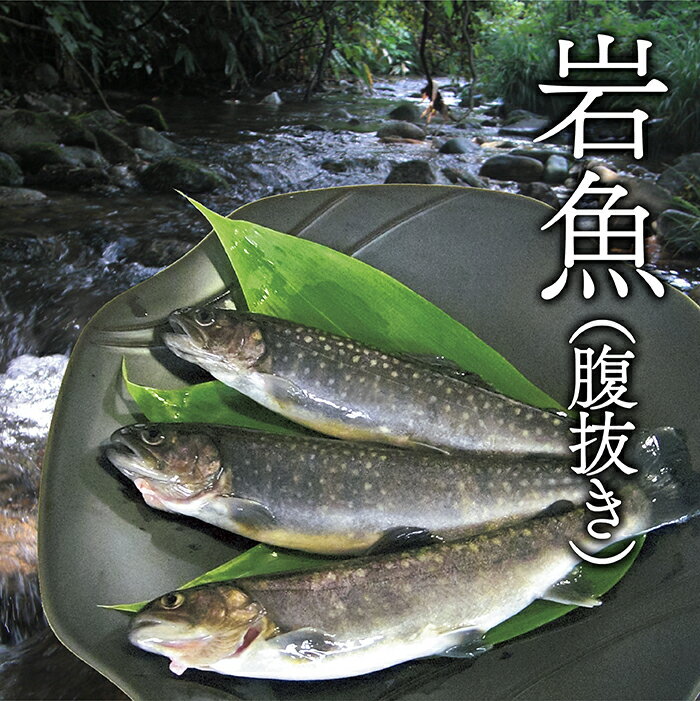 西塚農場産 岩魚冷凍10尾(腹抜き)
