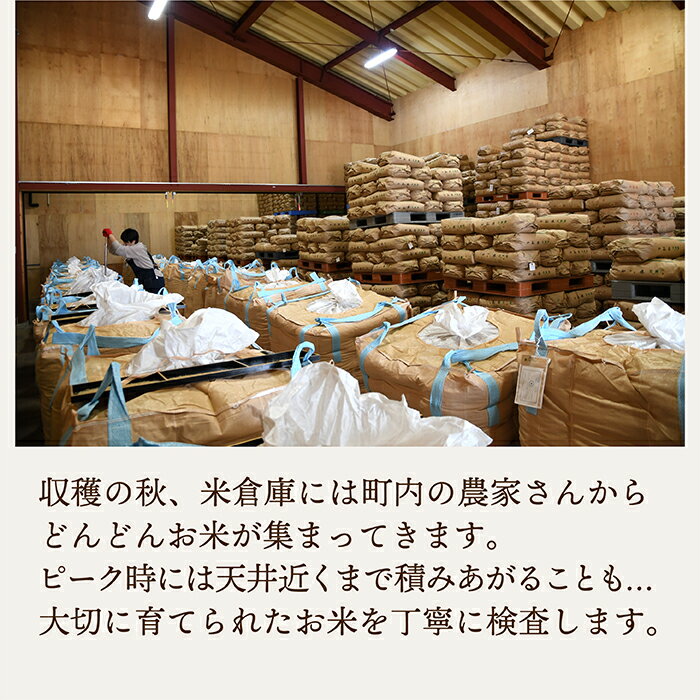 【ふるさと納税】【令和7年産】山形県産 つや姫5kgと雪若丸5kg食べ比べセット(各5kg×1袋ずつ) - 画像2