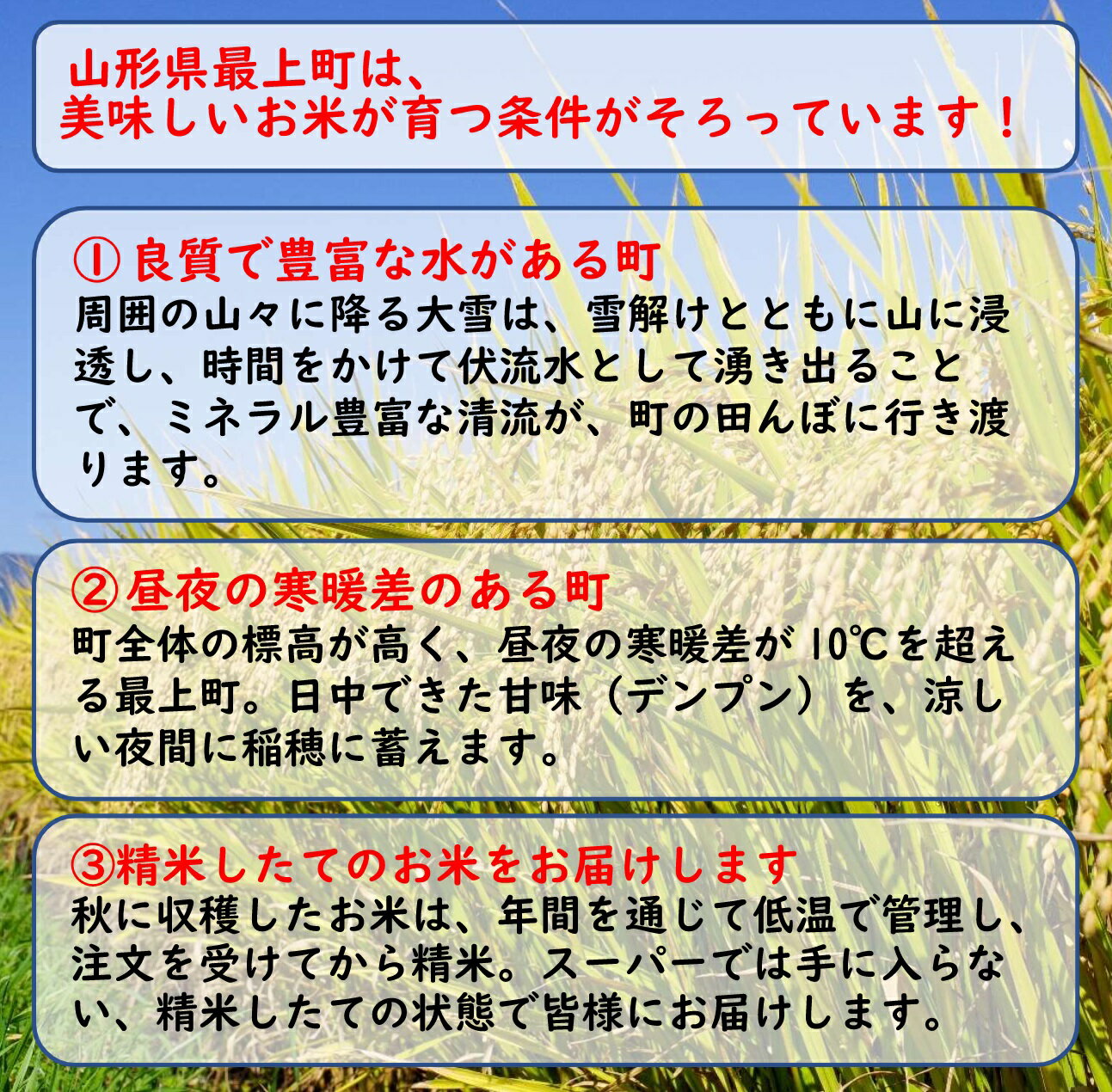 【ふるさと納税】令和7年産　山形県産 特別栽培米 つや姫5kg (5kg×1袋) サムネイル3
