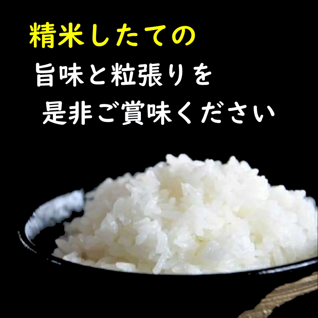 【ふるさと納税】【希少品種】【令和7年産】減農薬米　夢まどか10kg(5kg×2) - 画像3