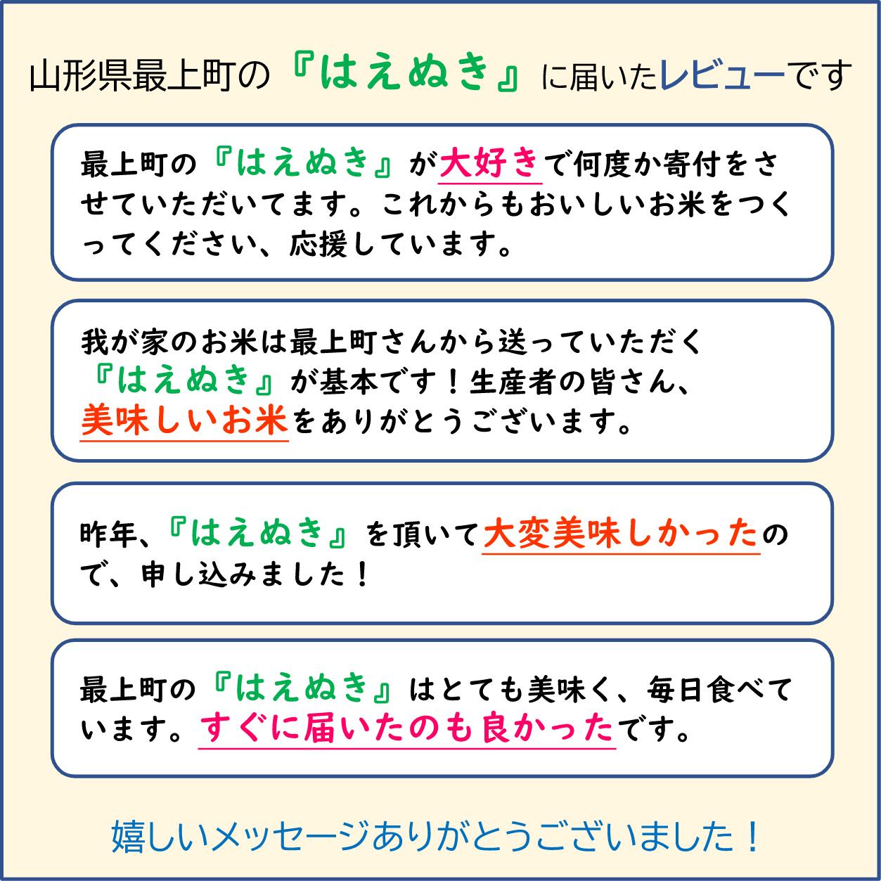 【ふるさと納税】令和7年産　山形県産 はえぬき 20kg (10kg×2袋) - 画像2