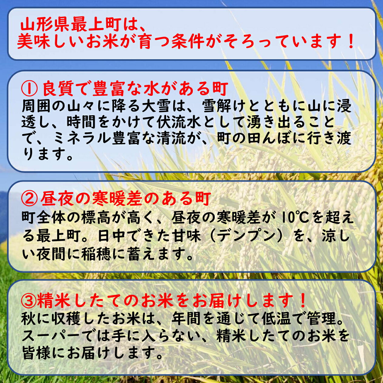 【ふるさと納税】令和7年産　山形県産 雪若丸 10kg (5kg×2袋) - 画像3