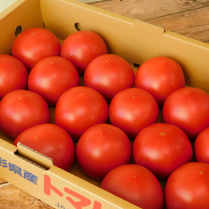 【ふるさと納税】大蔵村特産品　トマト　約4kg - 画像2