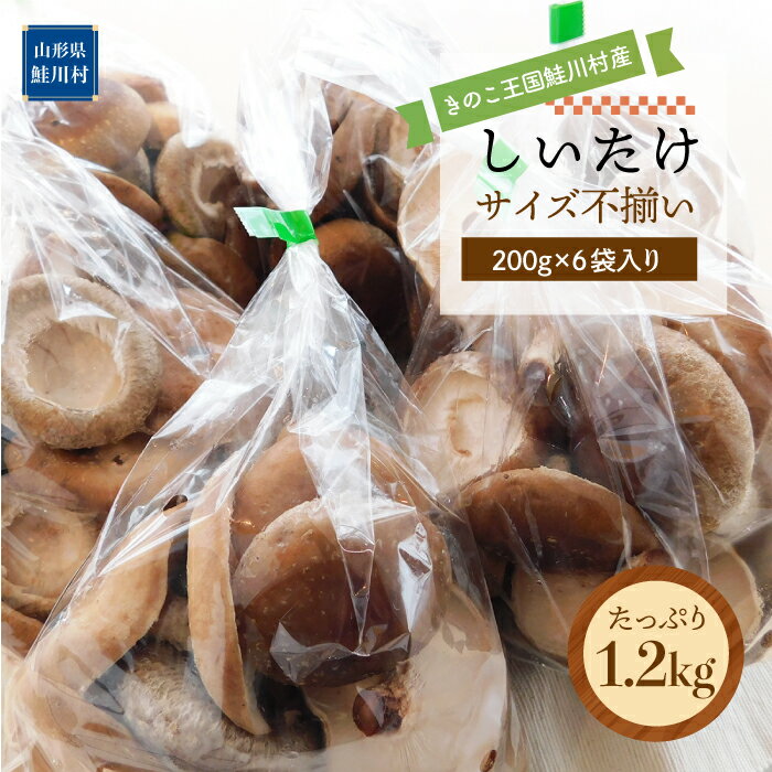 きのこ王国鮭川村産 ［しいたけ］ サイズ不揃い たっぷり1.2kg（300g×4袋入り）