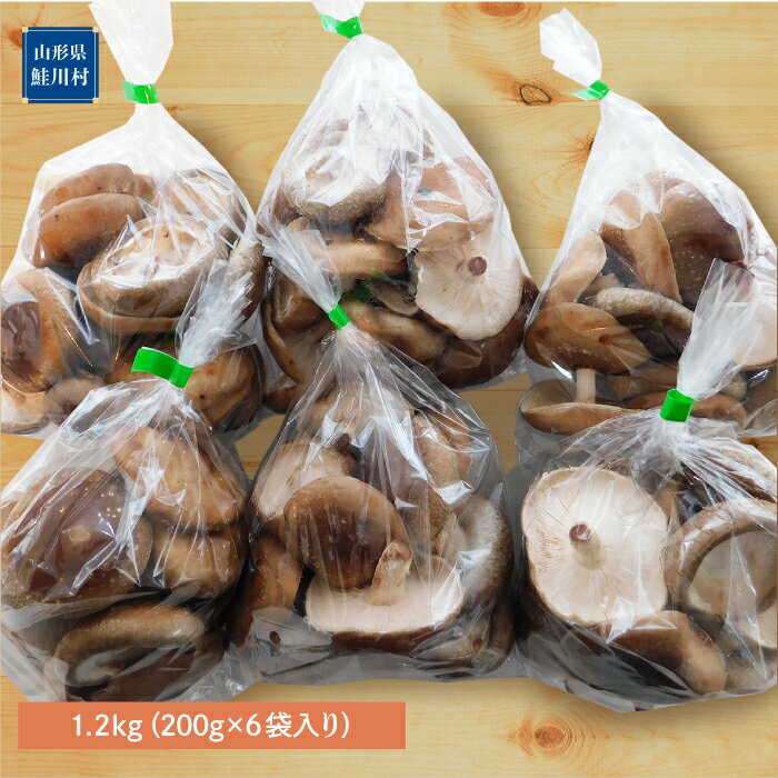 【ふるさと納税】きのこ王国鮭川村産 ［しいたけ］ サイズ不揃い たっぷり1.2kg（300g×4袋入り） - 画像2