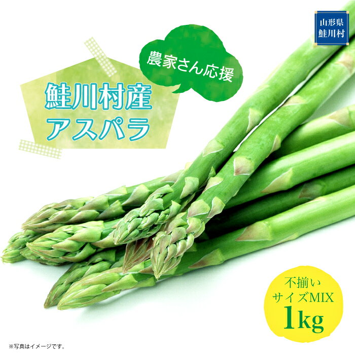 農家さん応援！！ 鮭川村産 アスパラガス 不揃いサイズ MIX 1kg