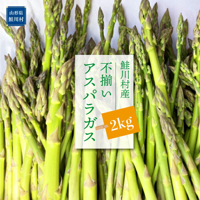 鮭川村産　不揃いアスパラガス 2kg