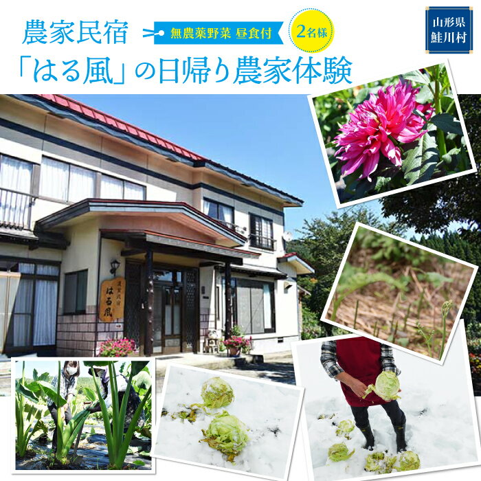農家民宿「はる風」の日帰り農家体験（2名様昼食付）