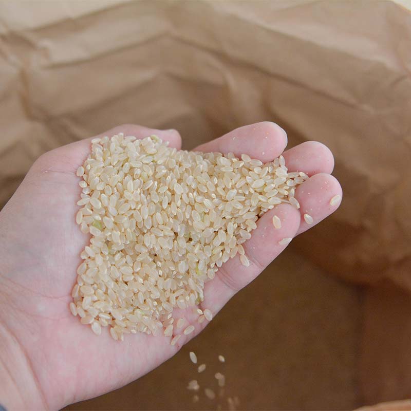 【ふるさと納税】 令和7年度 山形県産 雪若丸 玄米 30kg お米 米 米米 ご飯 ごはん ゆきわかまる ブランド米 銘柄米 2025年産 令和7年度産 30キロ 家庭用 自宅用 贈答用 お取り寄せ 食品 山形県 戸沢村 F7W-0269 - 画像3