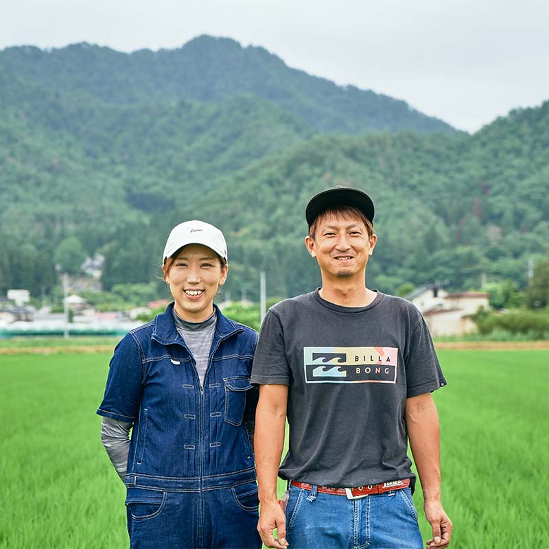 【ふるさと納税】 【期間限定発送】 シャインマスカット 3房 約2kg [相良果樹園 山形県 高畠町 tk06ayt350004] ぶどう ブドウ 葡萄 マスカット 大粒 種なし 高級 くだもの 果物 フルーツ 秋果実 産地直送 農家直送 数量限定 果物 フルーツ くだもの サムネイル3