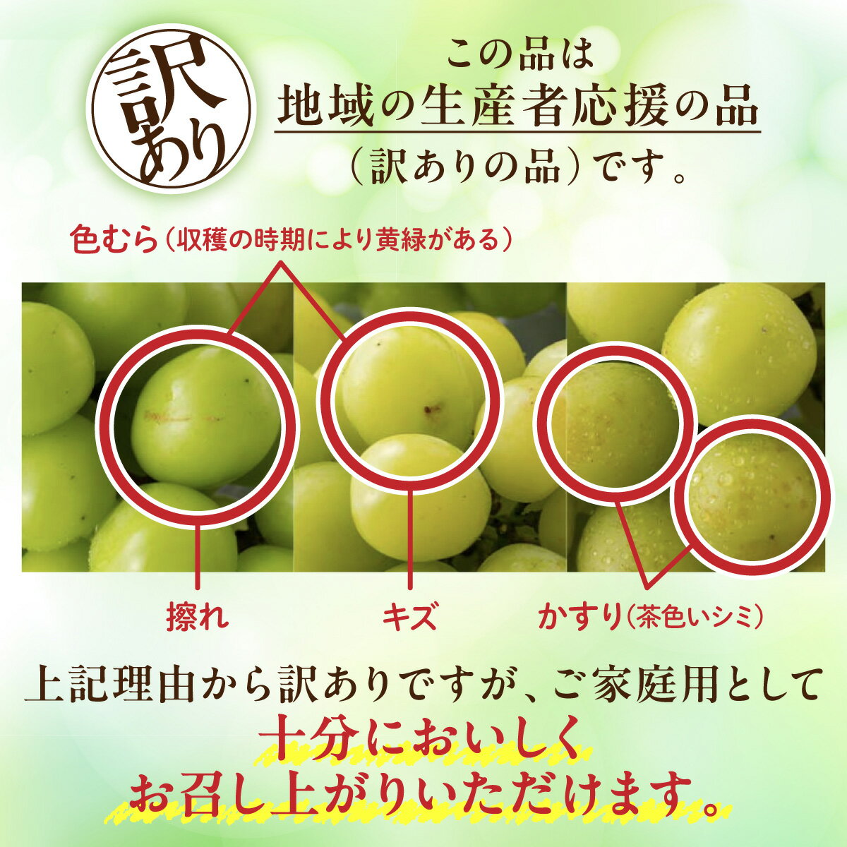 【ふるさと納税】 【期間限定発送】 訳あり シャインマスカット 箱 満杯詰め 粒 約1.3kg [相良果樹園 山形県 高畠町 tk06ayt350002] 種無し ブドウ 葡萄 産地直送 農家直送 果物 フルーツ くだもの - 画像2