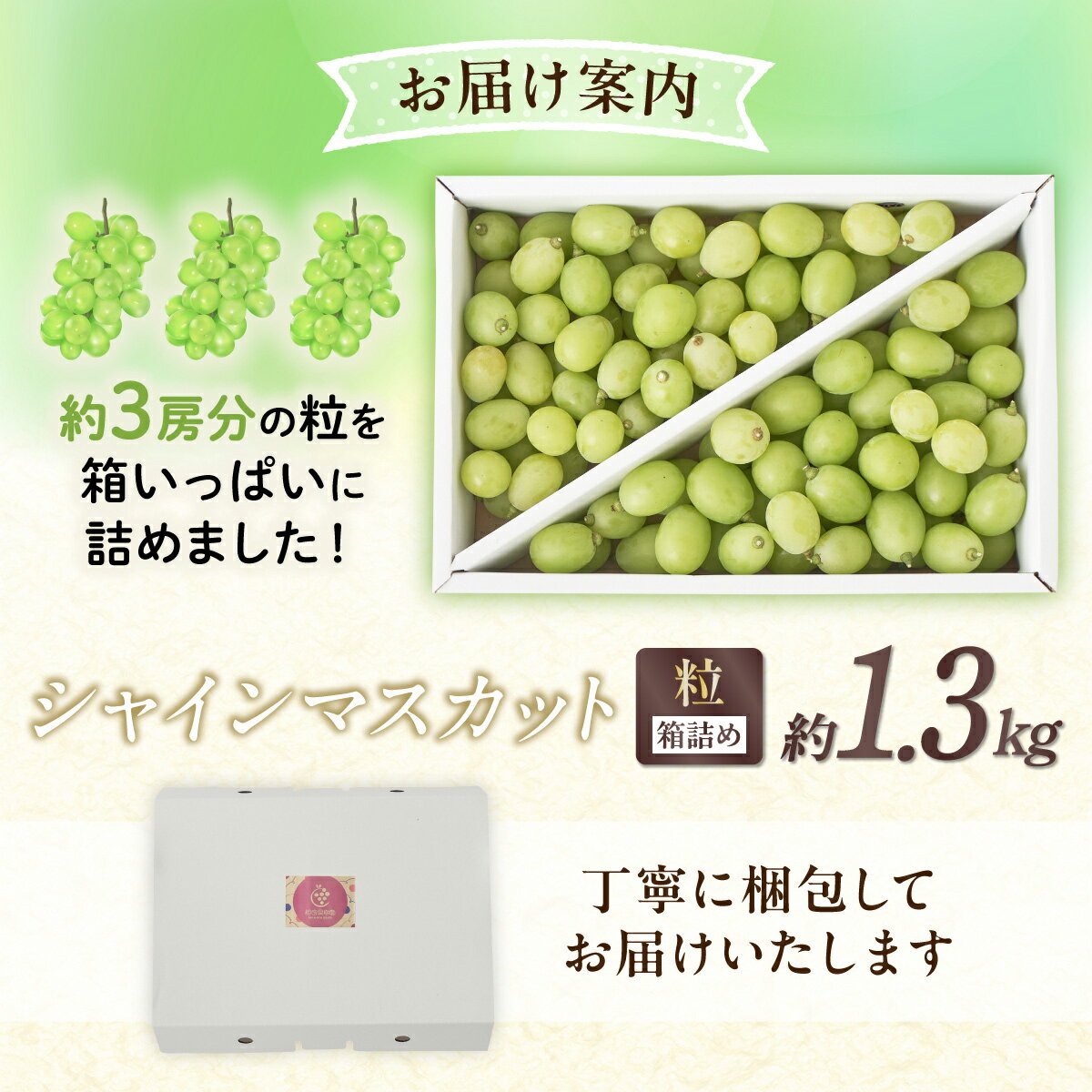 【ふるさと納税】 【期間限定発送】 訳あり シャインマスカット 箱 満杯詰め 粒 約1.3kg [相良果樹園 山形県 高畠町 tk06ayt350002] 種無し ブドウ 葡萄 産地直送 農家直送 果物 フルーツ くだもの - 画像3