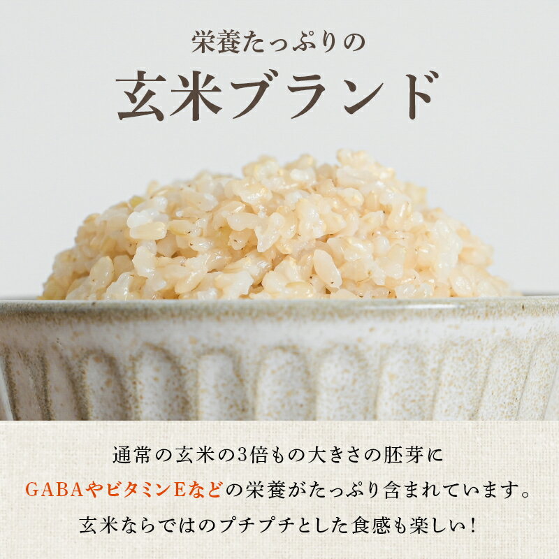 【ふるさと納税】 【定期便 も選べる】令和7年産 米 金のいぶき 玄米 コンクール金賞受賞生産者 5kg 10kg 3回 定期 | | ふるさと納税 米 玄米 精米 高級 お米 コメ こめ kome ご飯 ごはん 米 ブランド米 山形 高畠町 2024 2025 ふるさと 人気 送料無料 F21B-140var - 画像2