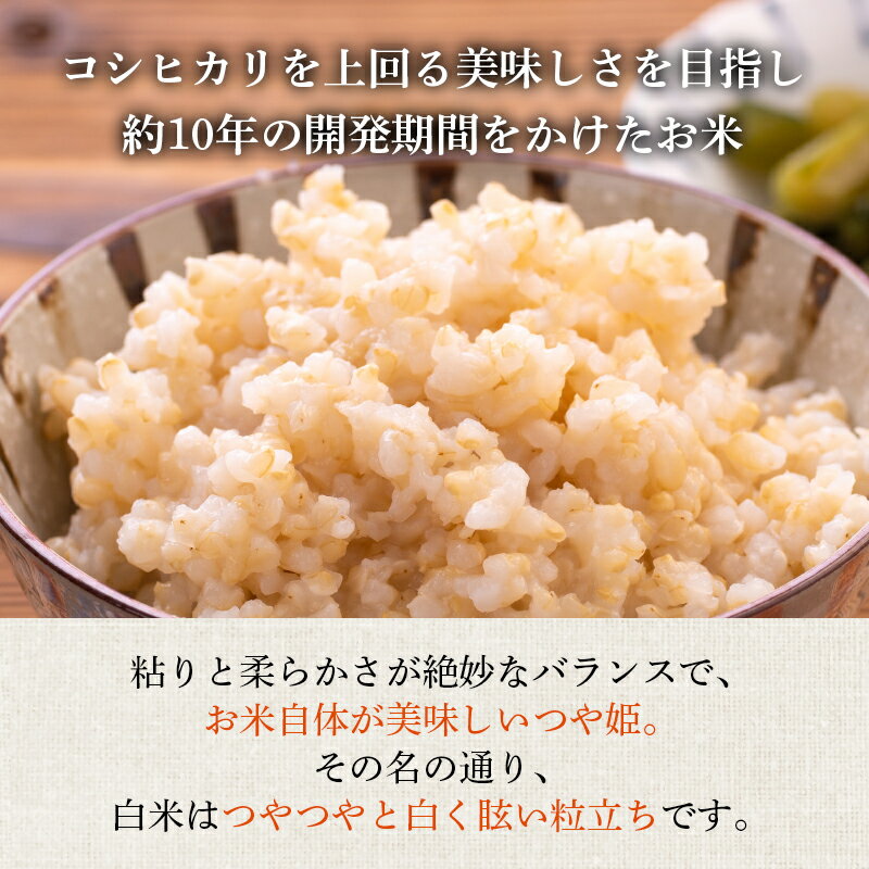 【ふるさと納税】 【定期便】米 令和7年産 つや姫 玄米 米コンクール 金賞受賞生産者 ご飯 ごはん 2kg 5kg 10kg 3ヶ月 3回 定期 | ふるさと納税 米 定期便 つや姫 高級 ご飯 飯 コメ こめ kome 山形 高畠町 2024 2025 ふるさと 人気 送料無料 F21B-136var - 画像2