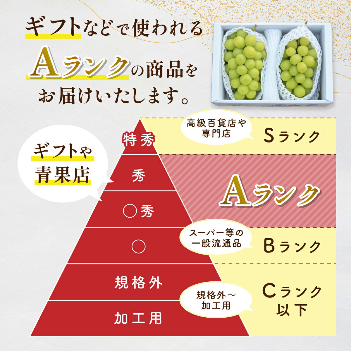 【ふるさと納税】 【総合ランキング 上位入賞】シャインマスカット マスカット 650g 1房 1.5kg 2〜3房 3kg 4〜6房 | ふるさと納税 ぶどう シャイン マスカット 高級 葡萄 果物 フルーツ 農家直送 箱詰 山形県 高畠町 人気 ランキング 送料無料 F21B-125var サムネイル2