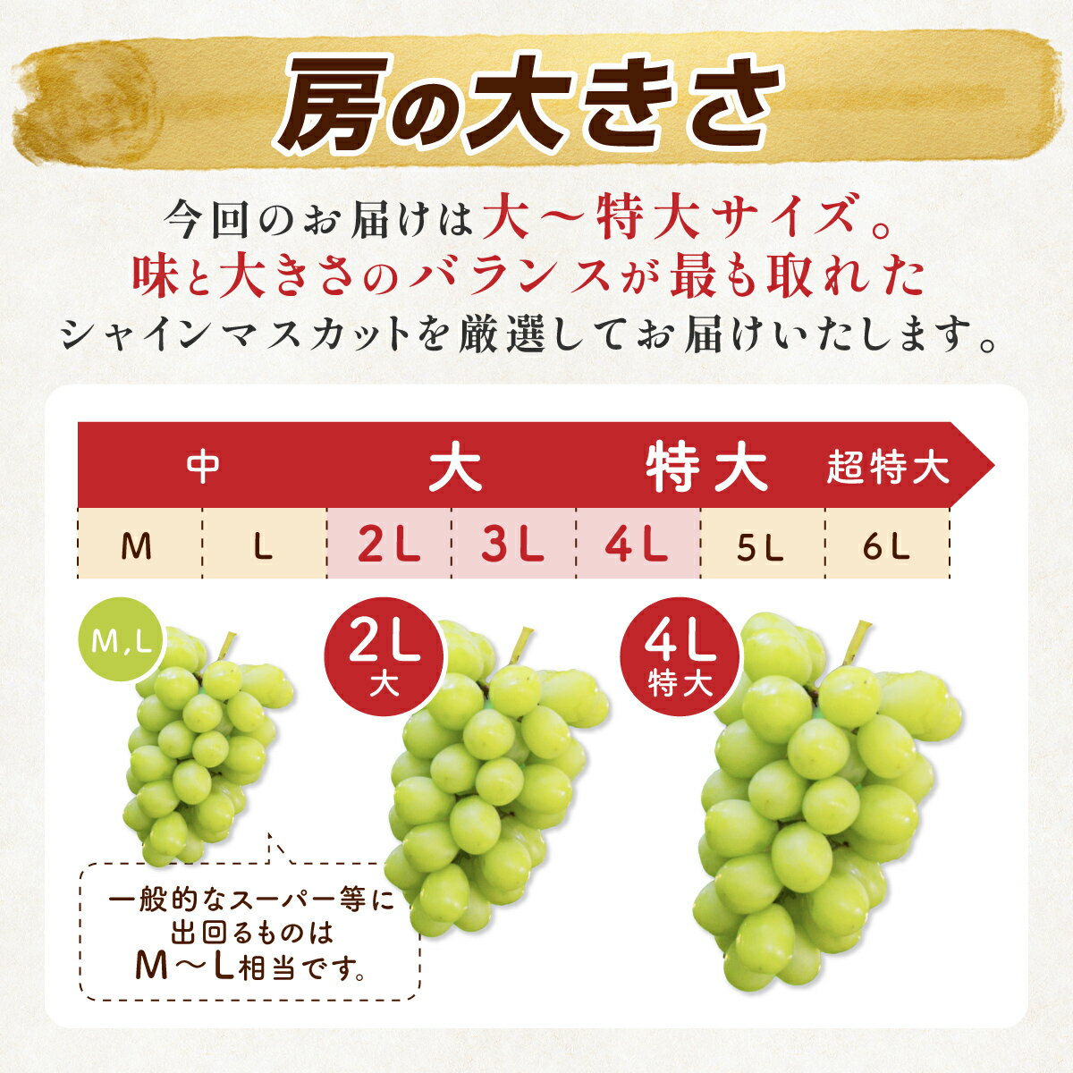 【ふるさと納税】 【総合ランキング 上位入賞】シャインマスカット マスカット 650g 1房 1.5kg 2〜3房 3kg 4〜6房 | ふるさと納税 ぶどう シャイン マスカット 高級 葡萄 果物 フルーツ 農家直送 箱詰 山形県 高畠町 人気 ランキング 送料無料 F21B-125var サムネイル3