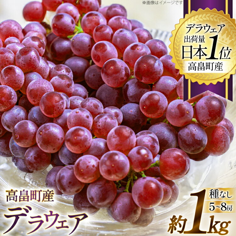 【期間限定発送】 ぶどう デラウェア 5〜8房 約 1kg [いわた果樹園 山形県 高畠町 tk06ayt400003] 種無し ブドウ 葡萄 くだもの 果物 フルーツ 産地直送 農家直送