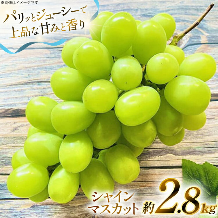 【期間限定発送】 シャインマスカット 約 2.8kg [もん前の里 山形県 高畠町 tk06ays960005] フルーツ 果物 くだもの ぶどう ブドウ 葡萄 2.8キロ 甘い