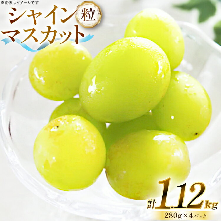 【期間限定発送】 シャインマスカット 粒 280g 4p 1.12kg 朝採れ [もん前の里 山形県 高畠町 tk06ays960007] フルーツ 果物 くだもの ぶどう ブドウ 葡萄 大粒 甘い