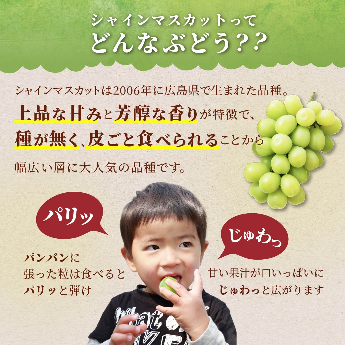 【ふるさと納税】 【期間限定発送】 ピオーネ シャインマスカット 2種 食べ比べ セット 約1.8kg [四釜昌和 山形県 高畠町 tk06ayt020006] ぶどう ブドウ 葡萄 マスカット 大粒 種なし 果物 フルーツ くだもの サムネイル2