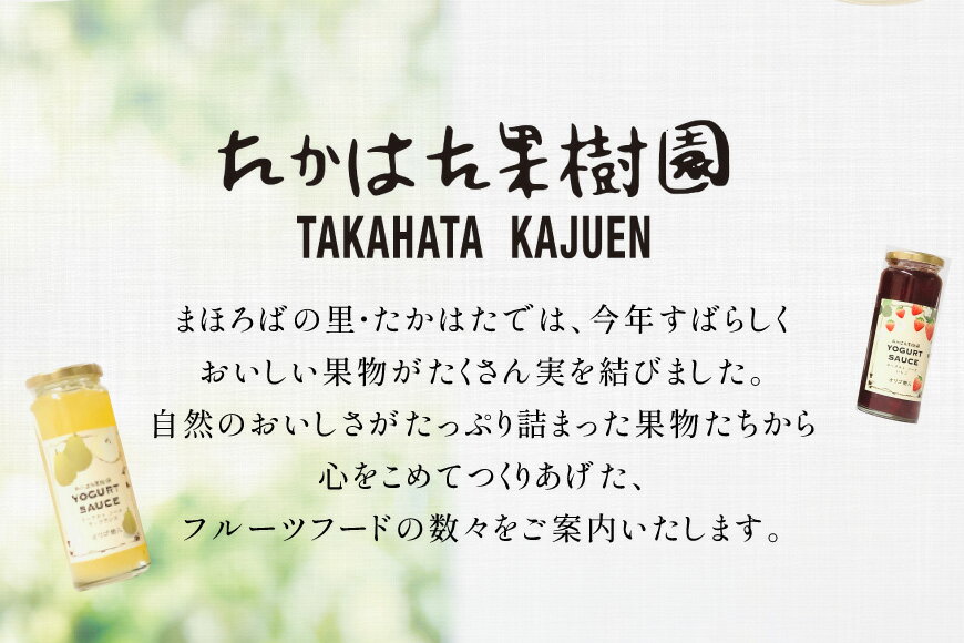 【ふるさと納税】 ヨーグルト ソース バラエティー 12本 セット [たかはた果樹園 山形県 高畠町 tk06ays650018] 詰め合わせ フルーツ ブルーベリー 梨 さくらんぼ いちご マンゴー グレープフルーツ キウイ みかん カシス 食べ比べ サムネイル3