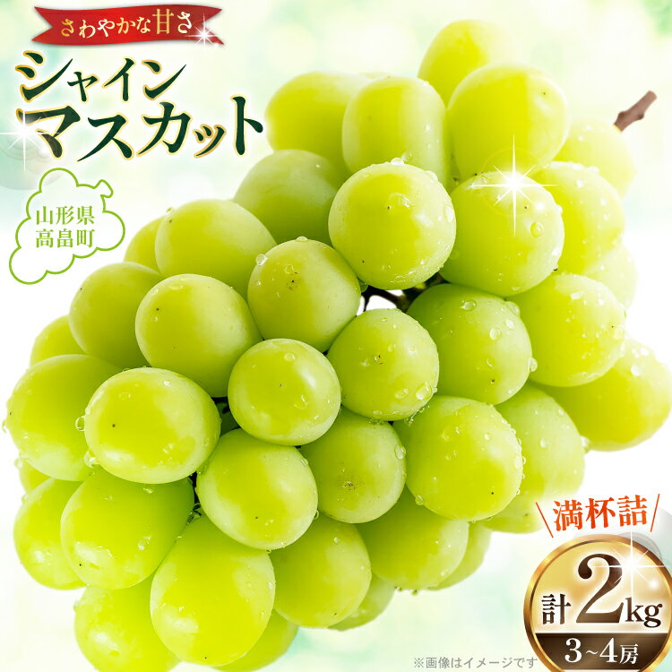 【期間限定発送】 シャインマスカット 3〜4房 満杯詰め 2kg [本田農園 山形県 高畠町 tk06ays820002] ぶどう ブドウ 葡萄 マスカット 大粒 粒 つぶ ツブ 種なし 果物 くだもの フルーツ 2キロ 箱入り