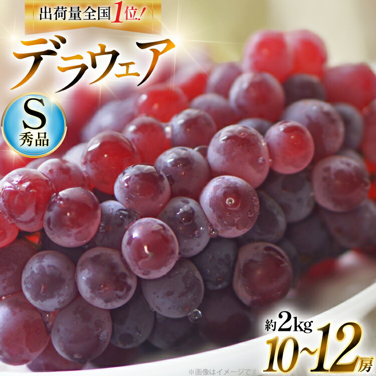 【期間限定発送】 ぶどう デラウェア 秀品 10〜12房 約 2kg [安達敏幸 山形県 高畠町 tk06ays830007] 種無し ブドウ 葡萄 くだもの 果物 フルーツ 産地直送 農家直送