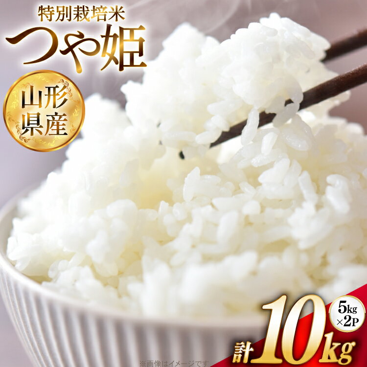 米 令和7年 特別栽培米 つや姫 5kg 2P 計 10kg [JA山形おきたま 山形県 高畠町 tk06ays870002] 5キロ 10キロ お米 ブランド米 ごはん ご飯 白米 精米 おこめ こめ つやひめ