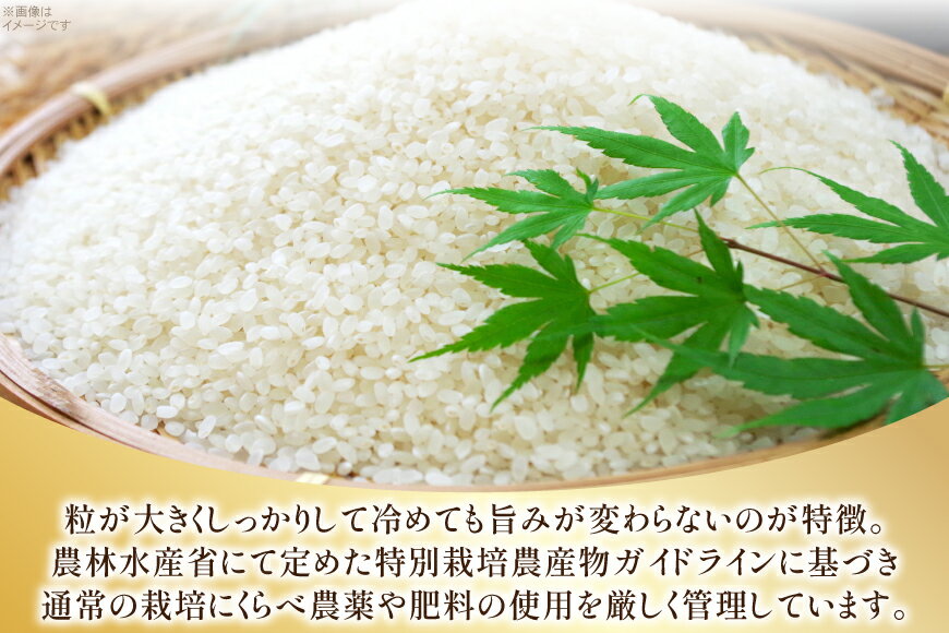 【ふるさと納税】 米 令和7年 特別栽培米 つや姫 5kg 2P 計 10kg [JA山形おきたま 山形県 高畠町 tk06ays870002] 5キロ 10キロ お米 ブランド米 ごはん ご飯 白米 精米 おこめ こめ つやひめ - 画像3