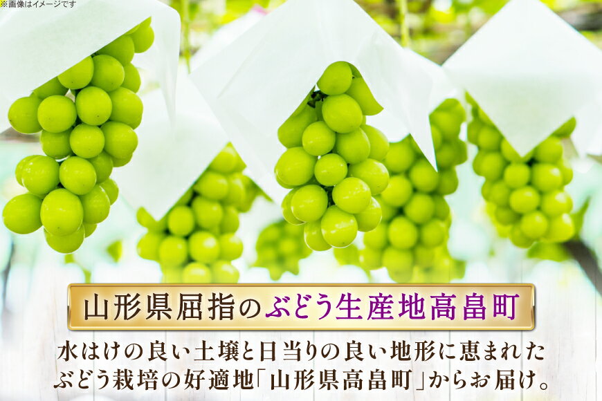 【ふるさと納税】 【期間限定発送】 ぶどう 2～3色 約 1.8kg 詰め合わせ セット [JA山形おきたま 山形県 高畠町 tk06ays870056] シャインマスカット 葡萄 セット ブドウ 巨峰 ピオーネ クイーンニーナ ゴルビー 高尾 蔵王おとめ 大粒 農家直送 朝採れ 食べ比べ 1.8キロ - 画像3