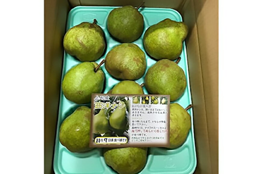 【ふるさと納税】 【期間限定発送】 訳あり 定期便 3回 品種おまかせ くだもの定期便 [金子農園 山形県 高畠町 tk06ays950001] さくらんぼ もも ラ・フランス 果実 果物 くだもの フルーツ 食べ比べ 訳あり サムネイル3