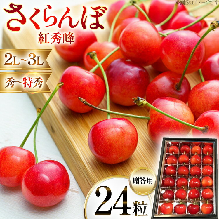 【期間限定発送】 サクランボ 紅秀峰 秀 2Lサイズ 24粒 [金子農園 山形県 高畠町 tk06ays950003] 箱入 並び詰め 果物 くだもの フルーツ サクランボ べにしゅうほう 化粧箱