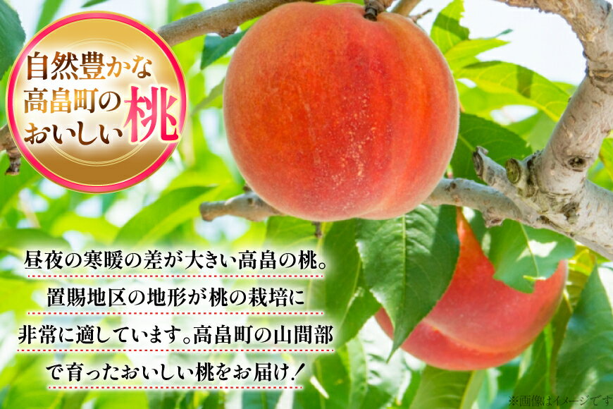 【ふるさと納税】 【期間限定発送】 桃 定期便 2回 品種おまかせ 白桃 8玉 計3kg [金子農園 山形県 高畠町 tk06ays950007] もも ピーチ 夏果実 果物 くだもの フルーツ 食べ比べ サムネイル3