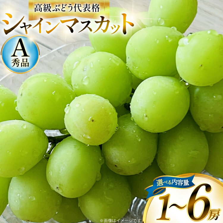 【総合ランキング 上位入賞】シャインマスカット マスカット 650g 1房 1.5kg 2〜3房 3kg 4〜6房 | ふるさと納税 ぶどう シャイン マスカット 高級 葡萄 果物 フルーツ 農家直送 箱詰 山形県 高畠町 人気 ランキング 送料無料 F21B-125var