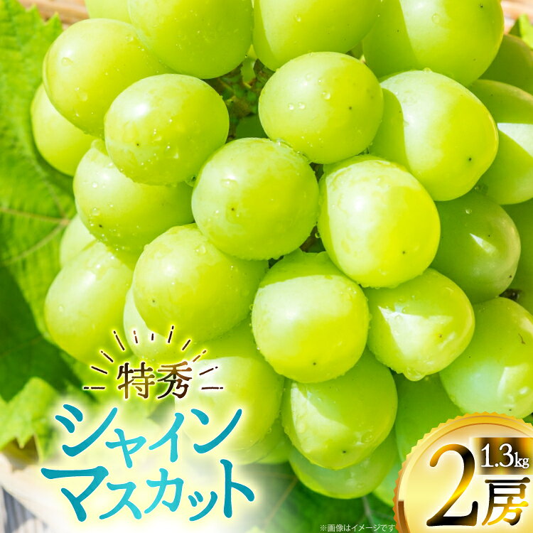 【期間限定発送】 シャインマスカット 特秀 2房 1.3kg [四釜昌和 山形県 高畠町 tk06ayt020005] ぶどう ブドウ 葡萄 マスカット 大粒 種なし 果物 フルーツ くだもの
