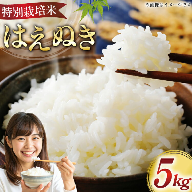 米 令和7年 特別栽培米 はえぬき 5kg [はまえん 山形県 高畠町 tk06ayt030004] 5キロ お米 ブランド米 ごはん ご飯 白米 精米 こめ