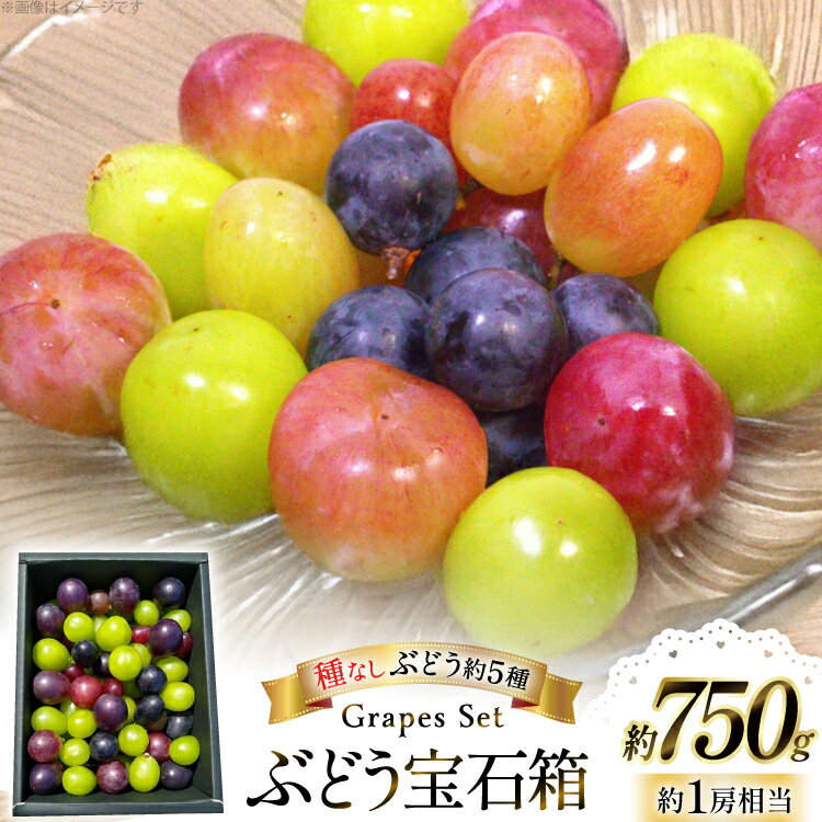 【期間限定発送】 ぶどう 詰め合わせ 種なしぶどうの宝石箱 約5種類 約750g [tk06ayt050000 山形県 高畠町 大野農園] ぶどう ブドウ 葡萄 マスカット 大粒 種なし 農家直送 数量限定 贈答 ギフト 果物 フルーツ くだもの