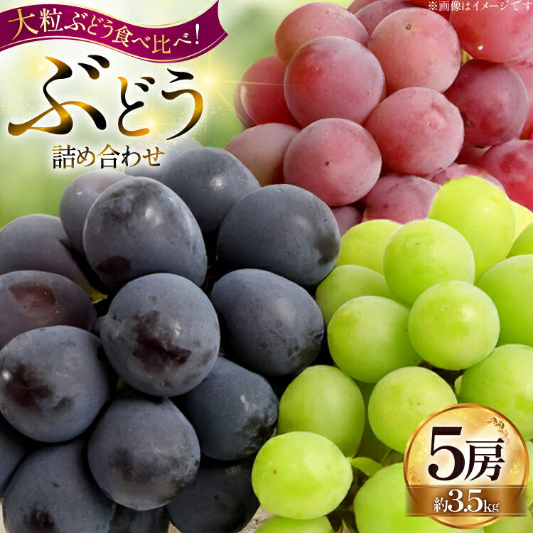 【期間限定発送】 ぶどう 詰め合わせ 5房 約3.5kg [Hinataぶどう園 山形県 高畠町 tk06ayt190004] ぶどう ブドウ 葡萄 大粒 シャインマスカット ピオーネ 藤稔 コトピー 安芸クイーン くだもの 果物 フルーツ セット