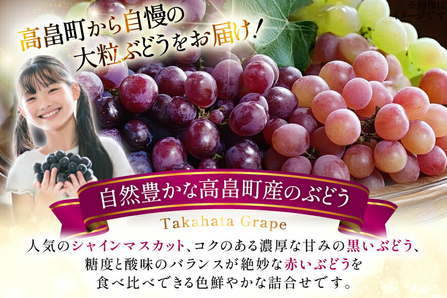 【ふるさと納税】 【期間限定発送】 ぶどう 詰め合わせ 5房 約3.5kg [Hinataぶどう園 山形県 高畠町 tk06ayt190004] ぶどう ブドウ 葡萄 大粒 シャインマスカット ピオーネ 藤稔 コトピー 安芸クイーン くだもの 果物 フルーツ セット サムネイル2