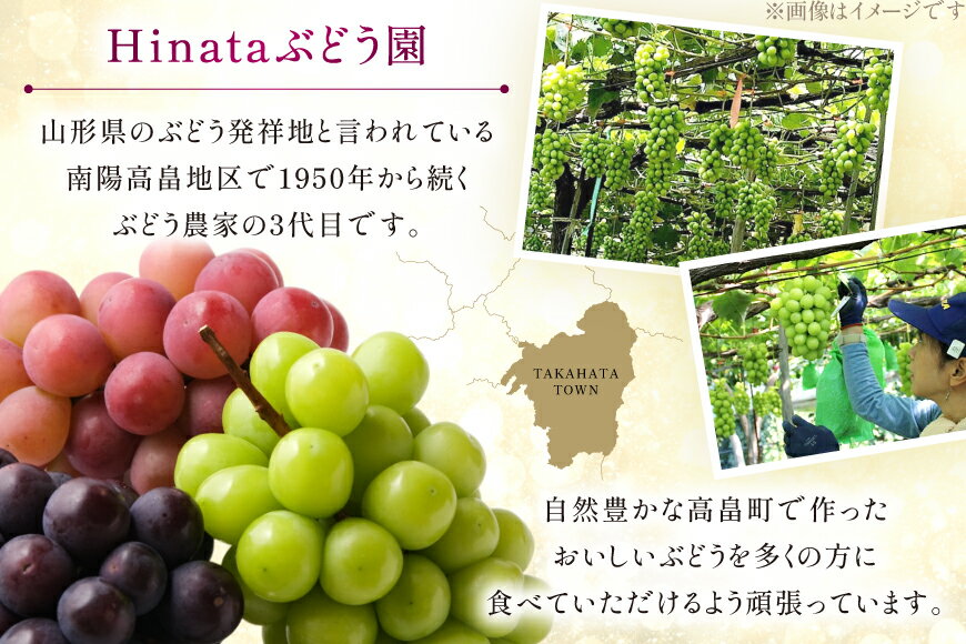 【ふるさと納税】 【期間限定発送】 ぶどう 詰め合わせ 5房 約3.5kg [Hinataぶどう園 山形県 高畠町 tk06ayt190004] ぶどう ブドウ 葡萄 大粒 シャインマスカット ピオーネ 藤稔 コトピー 安芸クイーン くだもの 果物 フルーツ セット サムネイル3
