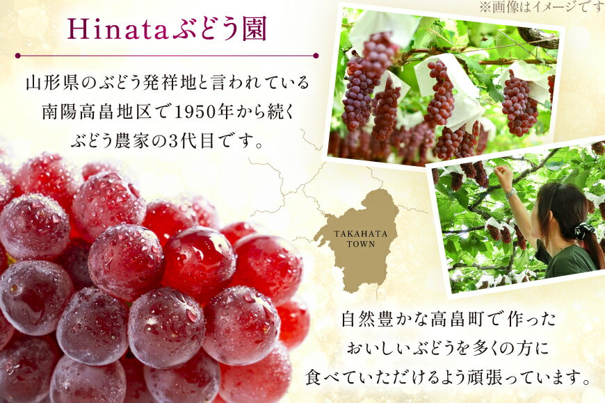 【ふるさと納税】 【期間限定発送】 ぶどう 朝採り デラウェア 秀 L～2L 7房 約 1kg [Hinataぶどう園 山形県 高畠町 tk06ayt190008] 種無し ブドウ 葡萄 くだもの 果物 フルーツ 産地直送 農家直送 サムネイル3