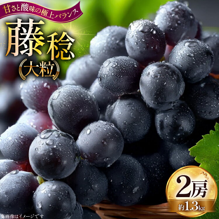 【期間限定発送】 先行予約 ぶどう 大粒ぶどう 藤稔 2房 約 1.3kg [Hinataぶどう園 山形県 高畠町 tk06ayt190009] ぶどう ブドウ 葡萄 ふじみのり 大粒 種なし くだもの 果物 フルーツ 産地直送 農家直送