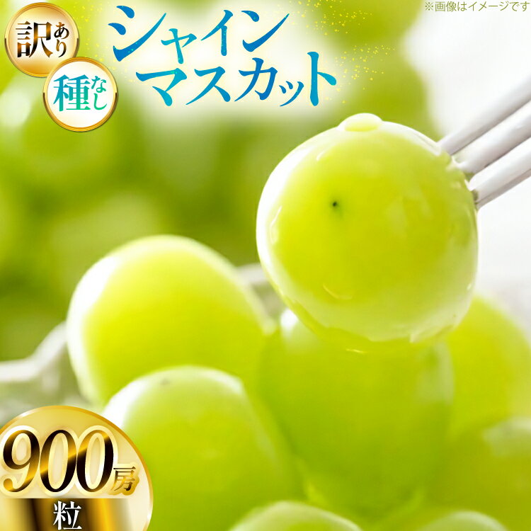 【期間限定発送】 シャインマスカット 訳あり 粒 900g [Yamagenフルーツガーデンレコルト 山形県 高畠町 tk06ayt380001] ご家庭用 ぶどう ブドウ 葡萄 フルーツ 果物 くだもの 甘い