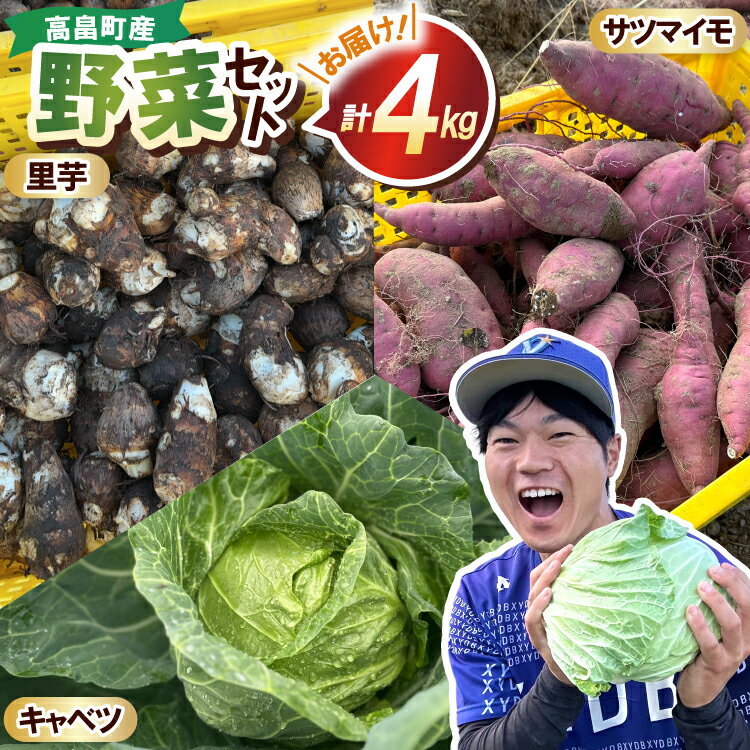 【期間限定発送】 3種 野菜 ( キャベツ さつまいも 里芋 ) 計約4kg セット [農家の店しゃんくすろーど 山形県 高畠町 tk06bcz250000] やさい 詰め合わせ サツマイモ 芋 さといも 食べ比べ
