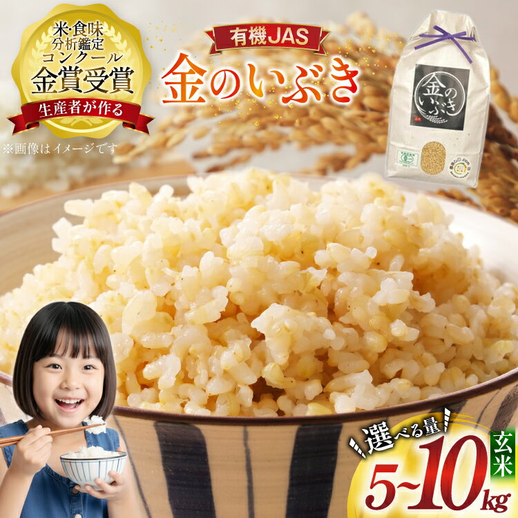 【定期便 も選べる】令和7年産 米 金のいぶき 玄米 コンクール金賞受賞生産者 5kg 10kg 3回 定期 | | ふるさと納税 米 玄米 精米 高級 お米 コメ こめ kome ご飯 ごはん 米 ブランド米 山形 高畠町 2024 2025 ふるさと 人気 送料無料 F21B-140var