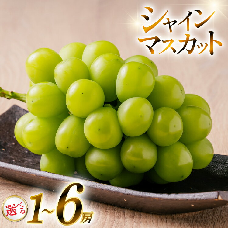 【期間限定発送】 シャインマスカット 選べる内容量 約650g〜約3kg [山形県 高畠町 いわた果樹園] ぶどう ブドウ 葡萄 フルーツ 果物 くだもの 甘い