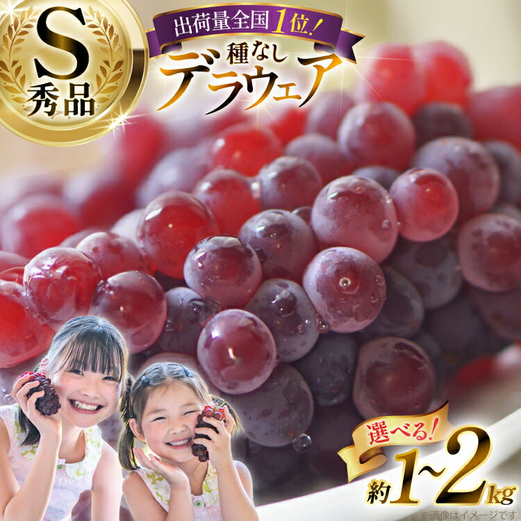 【期間限定発送】 ぶどう デラウェア 秀品 【選べる内容量】 [治右衛門果樹園 山形県 高畠町 tk06ays830012] 種なし ブドウ 葡萄 くだもの 果物 フルーツ 産地直送 農家直送 果実 デザート 甘い 1kg 2kg 小粒 期間限定 数量限定 冷蔵